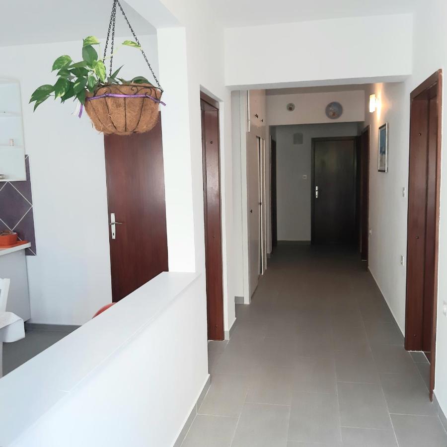 נובי ווינודולסקי Apartmani Miletic מראה חיצוני תמונה