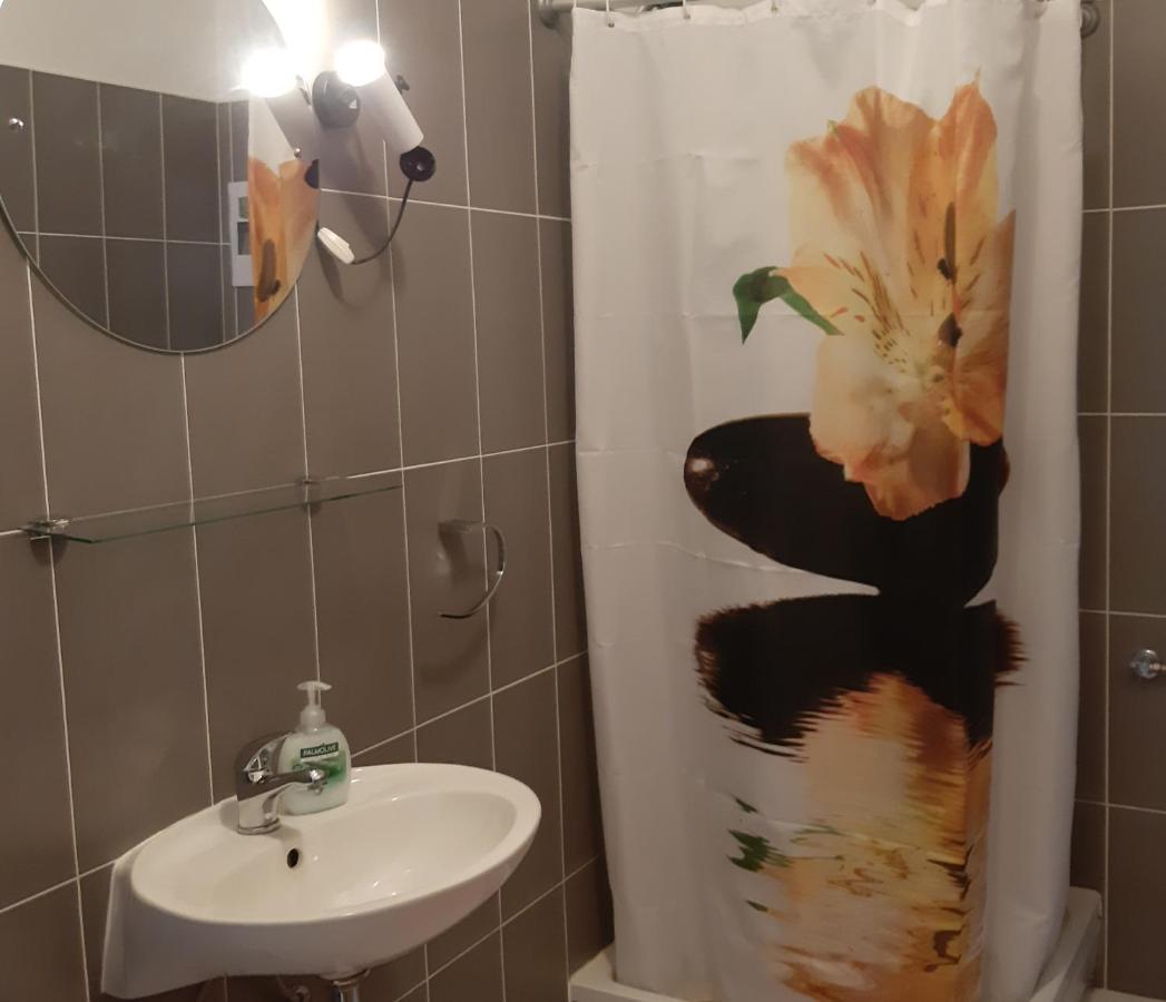 נובי ווינודולסקי Apartmani Miletic מראה חיצוני תמונה